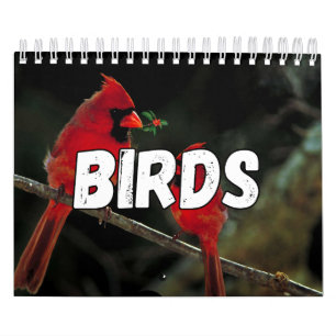 Kalender för fågeluppsamlingsmur