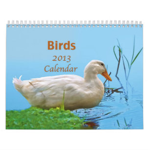 Kalender för fåglar 2013