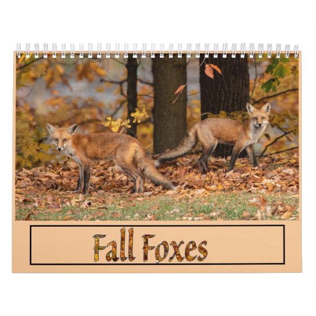 Kalender för fallgropar (Omslag)