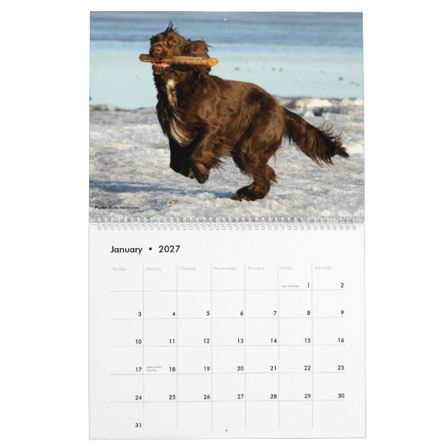 Kalender för fältSpanielvägg (Jan 2027)