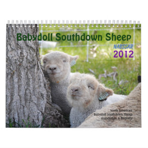 Kalender för får 2012 NABSSAR för Babydoll