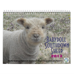 Kalender för får 2013 NABSSAR för Babydoll