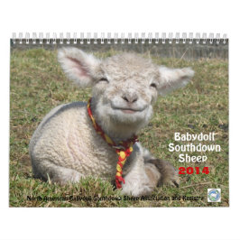 Kalender för får 2014 NABSSAR för Babydoll