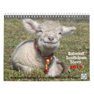 Kalender för får 2014 NABSSAR för Babydoll