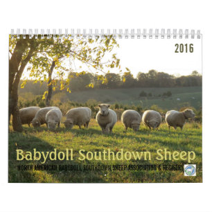 Kalender för får 2016 NABSSAR för Babydoll