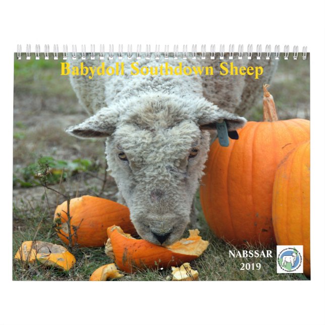 Kalender för får 2019 NABSSAR för Babydoll (Omslag)