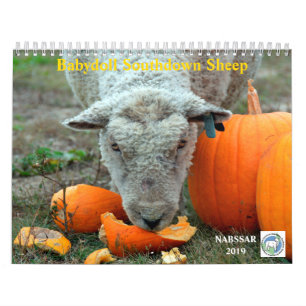 Kalender för får 2019 NABSSAR för Babydoll