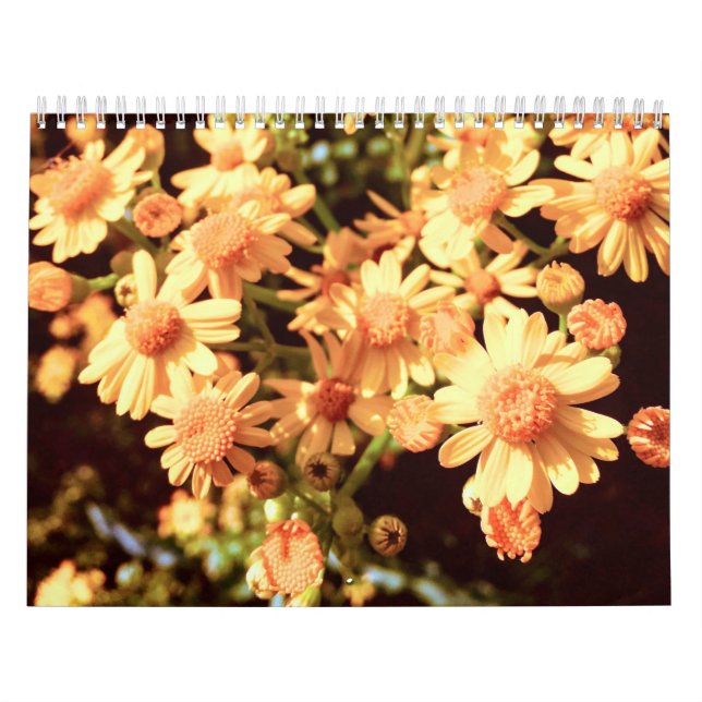 Kalender för Farm Land (Omslag)