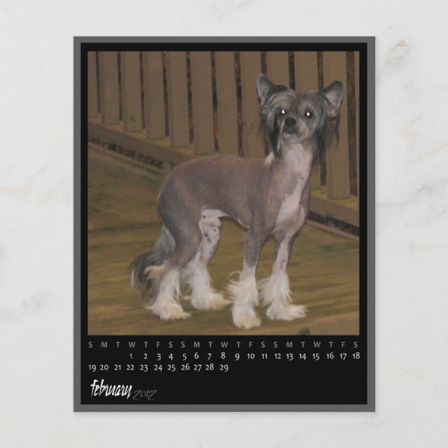 Kalender för februari 2012 (Framsida)