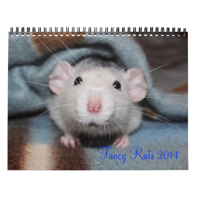 Kalender för finare Råttor 2014 (Omslag)