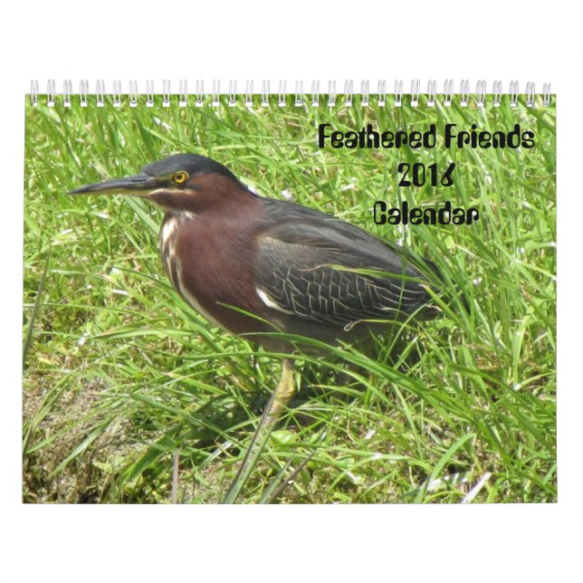Kalender för Fjäderfä vänner 2016 (Encore) (Omslag)