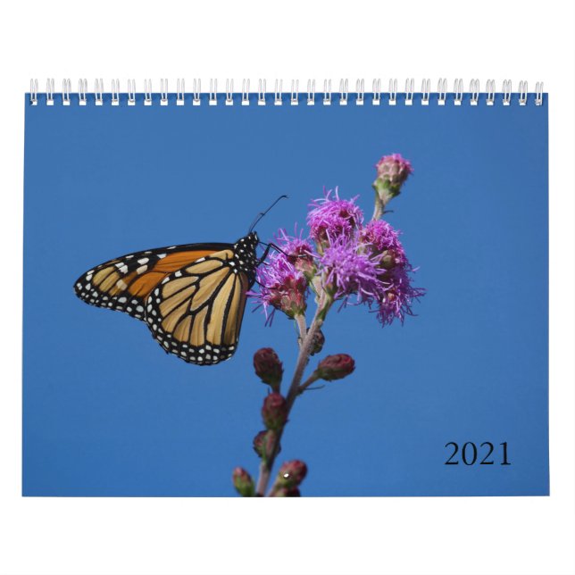 Kalender för fjärilar (Omslag)