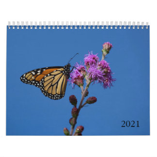 Kalender för fjärilar