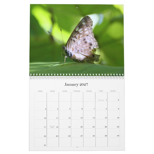 Kalender för fjärilar 2011 (Jan 2027)