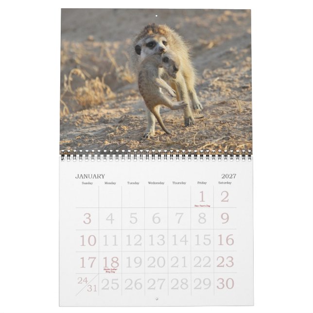 Kalender för FKMP Meerkats 2013 (Jan 2027)