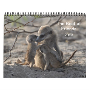 Kalender för FKMP Meerkats 2013