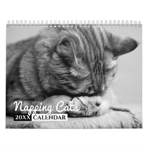 Kalender för foto till katter