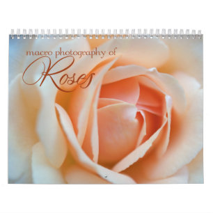 Kalender för fotografi 2013 för makroro blom-