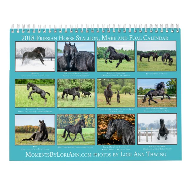 Kalender för FriesianMare 2018, föl- och hingst (Baksida)