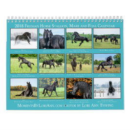 Kalender för FriesianMare 2018, föl- och hingst