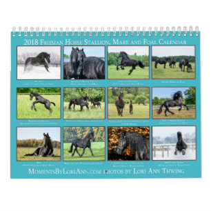 Kalender för FriesianMare 2018, föl- och hingst