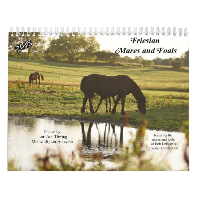 Kalender för FriesianMares 2018 och föl (Omslag)