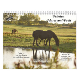 Kalender för FriesianMares 2018 och föl