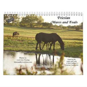 Kalender för FriesianMares 2018 och föl