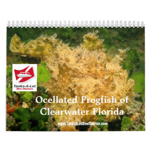 Kalender för Frogfish 2012