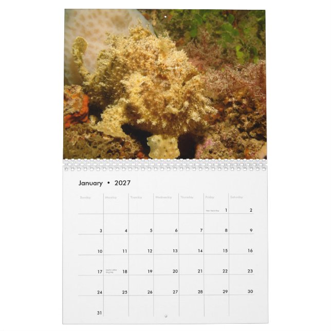 Kalender för Frogfish 2012 (Jan 2027)