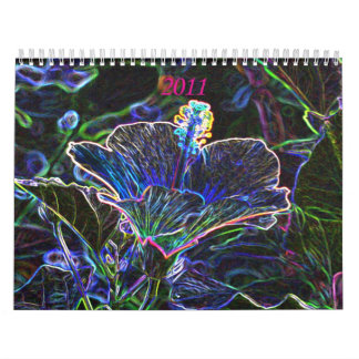 Kalender för funky 2011