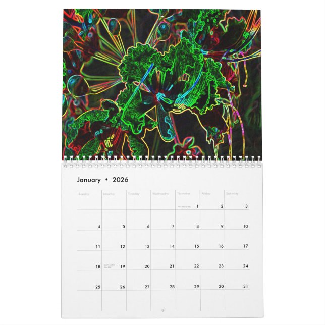 Kalender för funky 2011 (Jan 2026)