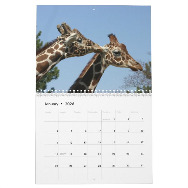 Kalender för giraff 2009 (Jan 2026)