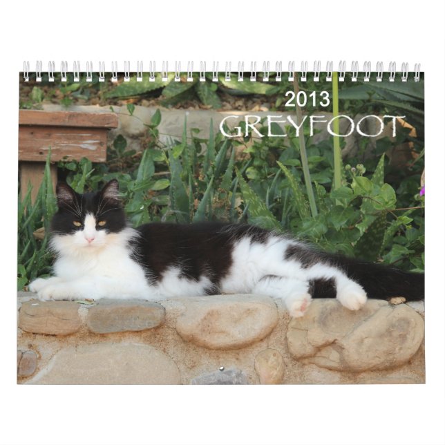 Kalender för Greyfoot katträdding 2013 (Omslag)