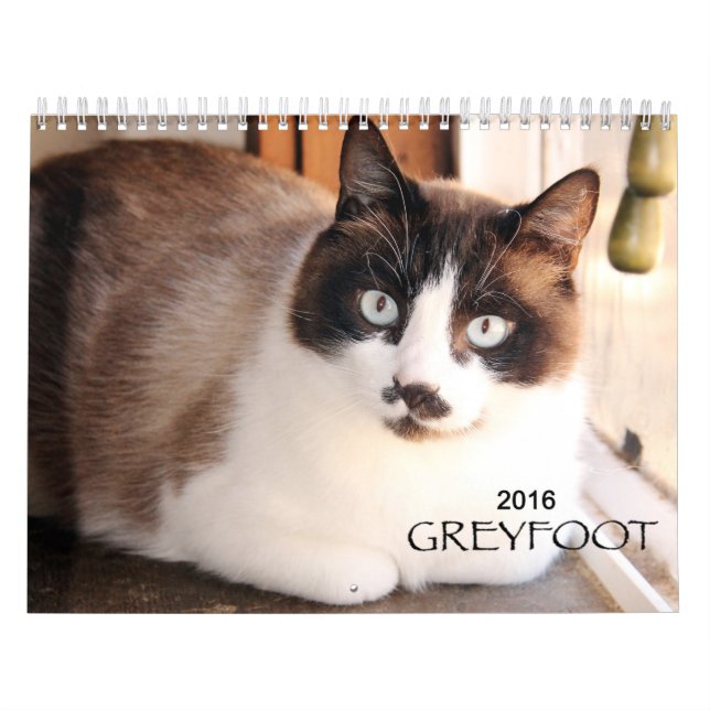 Kalender för Greyfoot katträdding 2016 (Omslag)