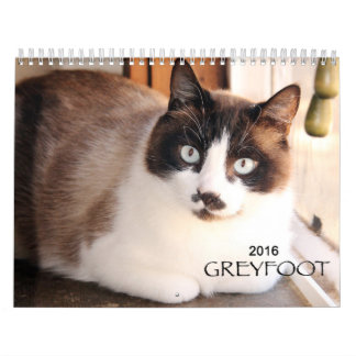 Kalender för Greyfoot katträdding 2016
