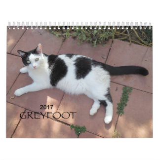 Kalender för Greyfoot katträdding 2017