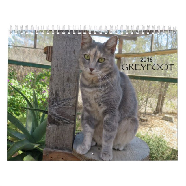 Kalender för Greyfoot katträdding 2018 (Omslag)