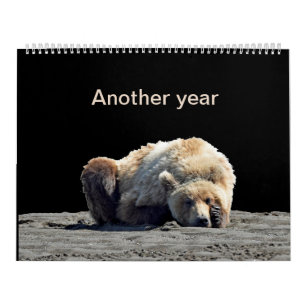 Kalender för grizzlybjörn unge