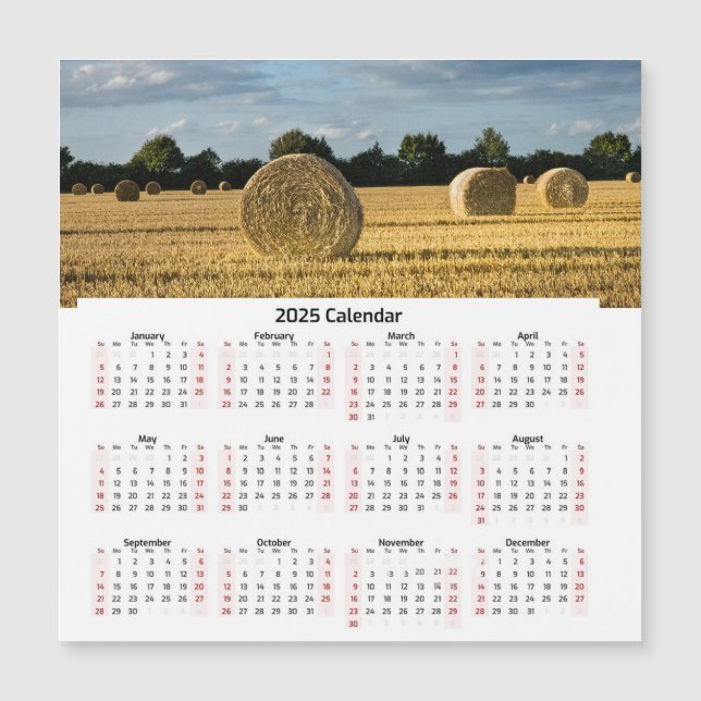 Kalender för häckbalar (Framsida)