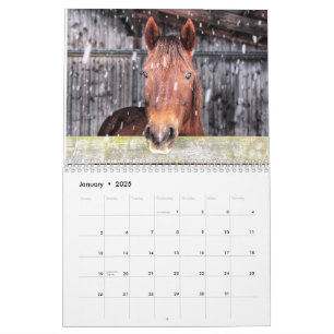 Kalender för hästar och åsnor 2025