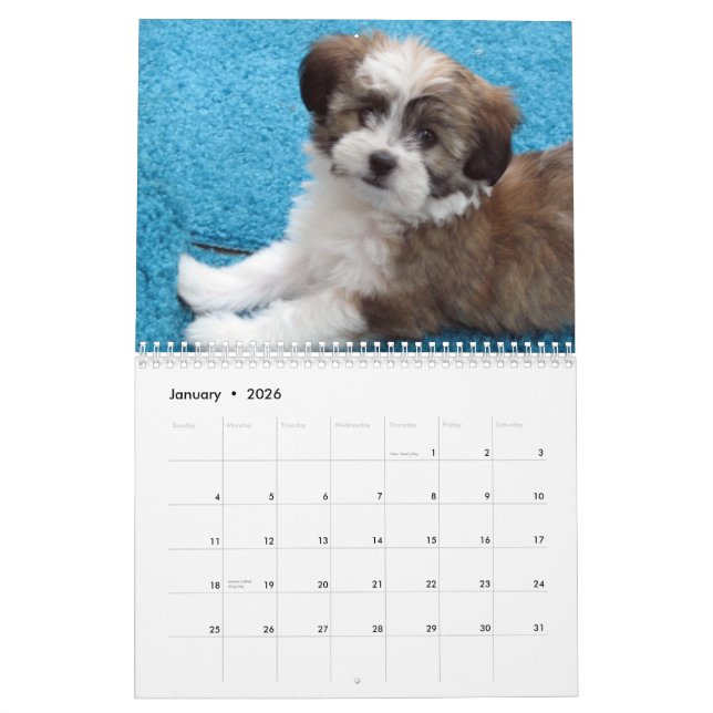 Kalender för Havanese räddingvalp (Jan 2026)