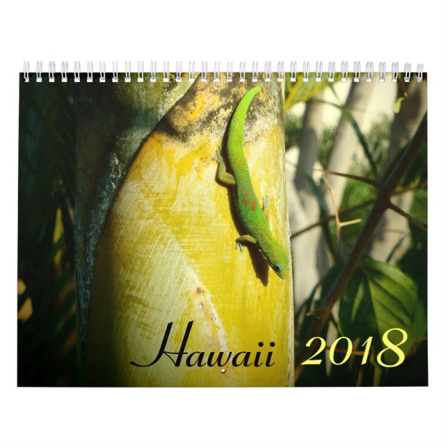 Kalender för hawaii 2018-scenmål (Omslag)