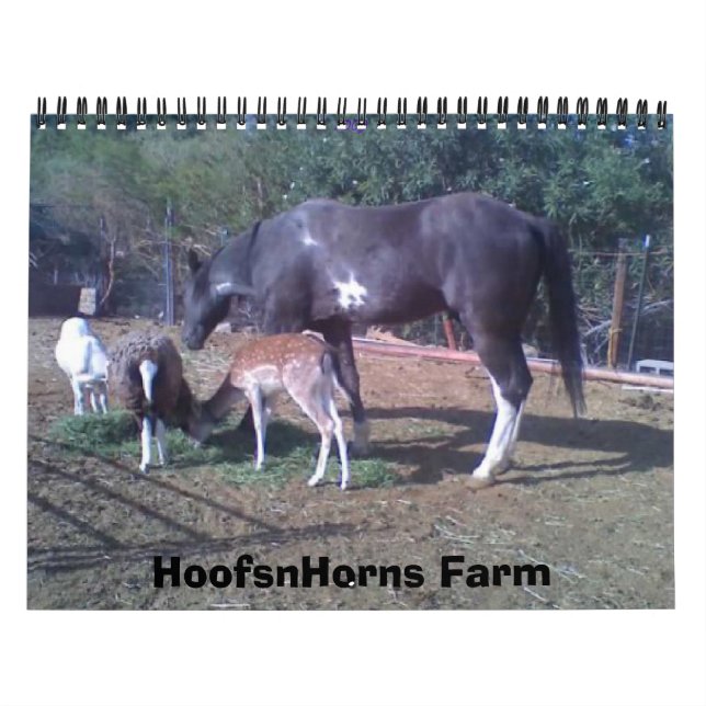 Kalender för HoofsnHorns lantgård 2009 (Omslag)