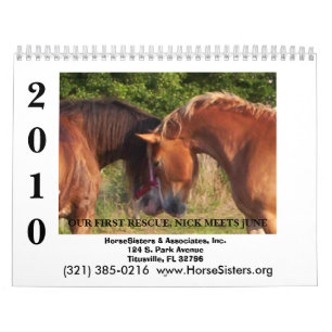 KALENDER FÖR HORSESISTERS 2010