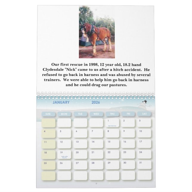 KALENDER FÖR HORSESISTERS 2010 (Jan 2026)