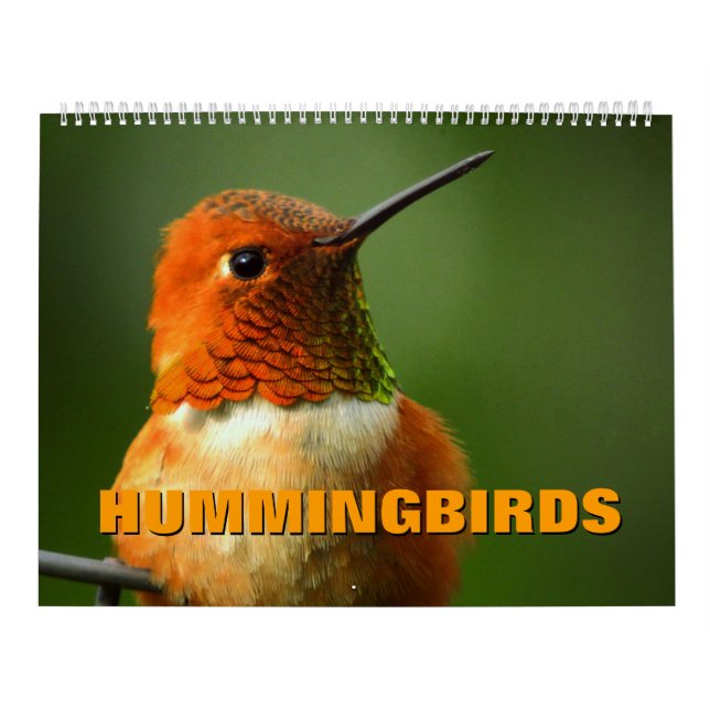 Kalender för Hummingbird (Omslag)