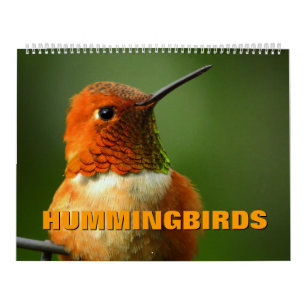 Kalender för Hummingbird