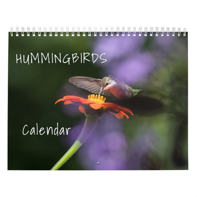 Kalender för Hummingbird (Omslag)