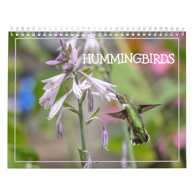 Kalender för Hummingbird (Omslag)